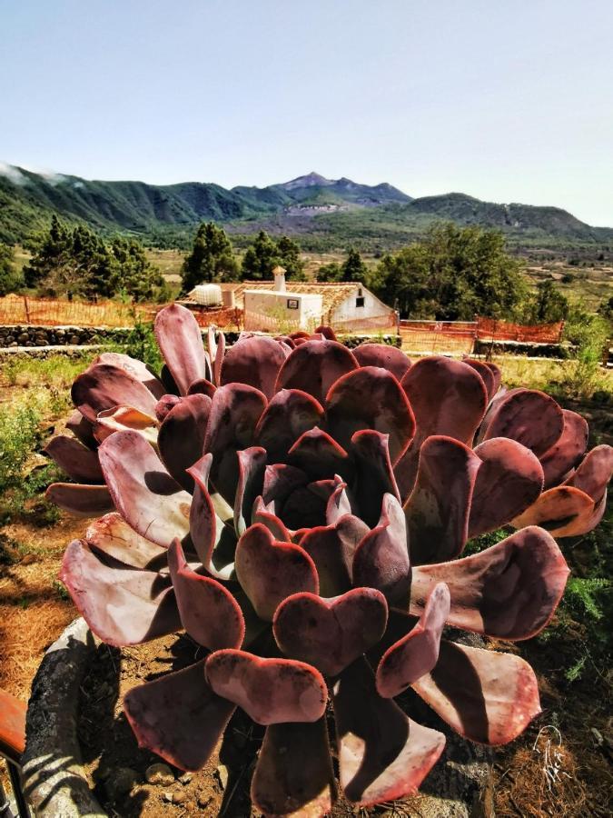 Evas Haus Daire Santa Cruz de la Palma  Dış mekan fotoğraf